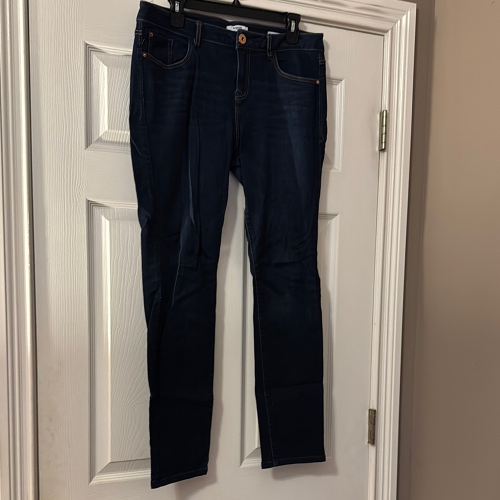 Kensie Blue Skinny Jeans
